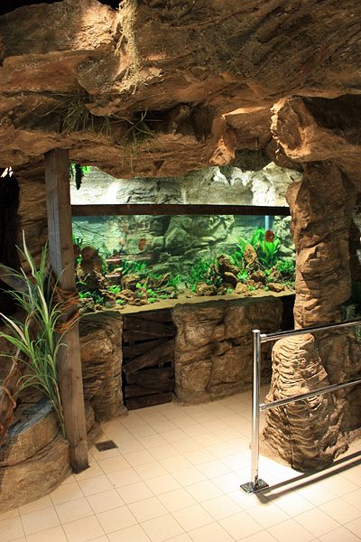 Zoo Decor, Reptile Zoo, Custom Aquarium, Zoo Architecture, Reptile House, Aquarium Terrarium, Reptile Room, Aquascape Aquarium, Reptile Enclosure