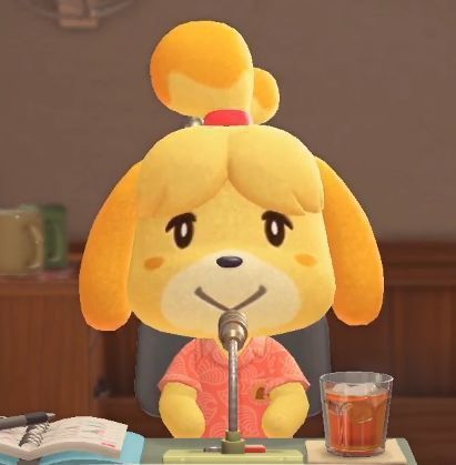 Animal Crossing Characters, Animal Crossing Villagers, Animal Crossing Pocket Camp, Character Collection, Kawaii Room, Girls Characters, Phone Themes, I Icon, Cute Icons