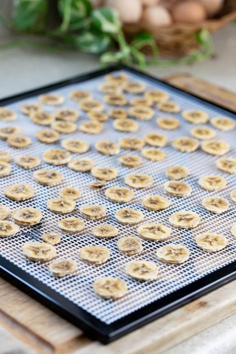 Banana Chips Dehydrator, How To Dehydrate Bananas, Dehydrating Bananas, Dehydrate Bananas, Preserving Fruit, Dehydrated Bananas, Freezing Vegetables, Easy Canning, Dehydrated Foods