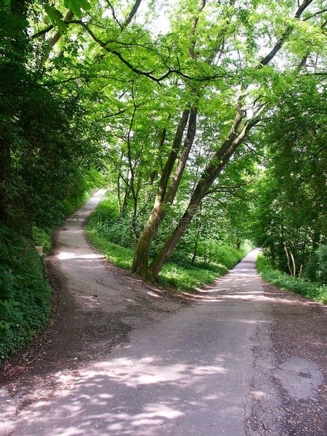 Crossroads in a Forest. The quiet intersection of two small roads or paths in a , #AD, #intersection, #small, #quiet, #Crossroads, #Forest #ad Road With Trees Pathways, Crossroads Aesthetic, Lady Hekate, Reading Imagination, Road In Forest, Road Intersection, Sidewalk Landscaping, Shamanic Journeying, Two Paths