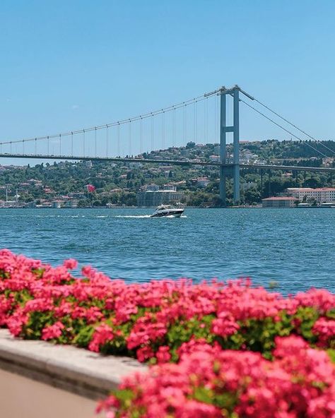 Bosphorus Istanbul, Istanbul Bosphorus, Bosphorus Bridge, Dream City, Tourist Places, Landscape Wallpaper, Bay Bridge, Favorite City, Sea Salt