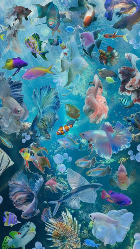 completely inspired by the post i remixed!! #aquarium #fishies #fish #ocean #wallpaper Underwater Wallpaper, Pretty Fish, Fish Ocean, Sea Life Art, Fish Wallpaper, Tropical Wallpaper, Iphone Wallpaper Photos, Ocean Wallpaper, Ocean Vibes