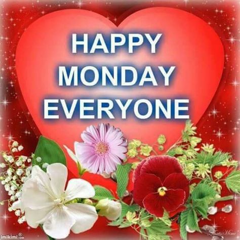 Happy Monday! Happy Monday Pictures, Monday Good Morning, Monday Greetings, Monday Wishes, Monday Pictures, Monday Blessings, Happy Monday Everyone, Monday Quotes, Morning Everyone