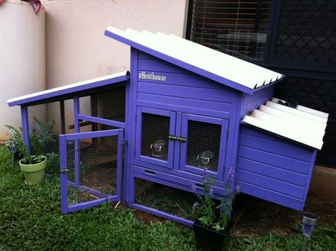 Chook house idea Purple Chicken Coop, Chook House, Chicken Items, Chicken Coup, Chicken Coop, Coop, Park Slide, Garden Ideas, Shed