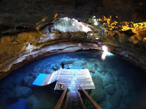 Devils Den, in Williston FL.   Devil’s Den is the most unusual geological formation I have ever seen. A collapsed sinkhole [a chimney provides sunlight down to the sinkhole lake], where you can snorkel and scuba dive. Breathtaking. About 45 minutes from Gainesville.  right near rainbow river FL Williston Florida, Devils Den, Arkansas Road Trip, Arkansas Vacations, Arkansas Travel, The Devils, Eureka Springs, Unique Places, To Infinity And Beyond