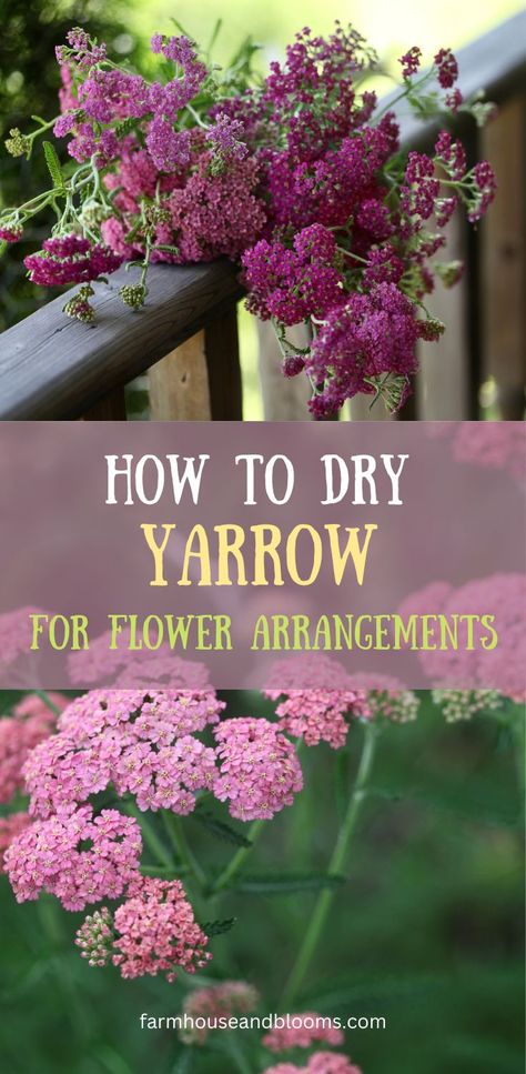 two pictures of yarrow in the garden Diy Dried Flower Arrangement, Dried Floral Wreaths, Yarrow Flower, Cut Flower Farm, Dried Flower Wreaths, Everlasting Flowers, Dried Bouquet, Cut Flower Garden, Veg Garden