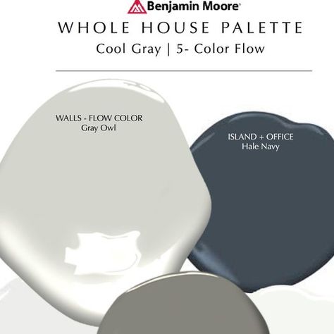 Knoxville Gray, Dove Wing, Greige Paint, Benjamin Moore White, Best White Paint, Color Boards, Open Concept Home, Paint Inspiration, Revere Pewter