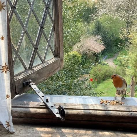 A Quiet Life, Cottage In The Woods, Dream Cottage, Cottage Life, Long Road, Quiet Life, Cottagecore Aesthetic, Future Life, Window Sill