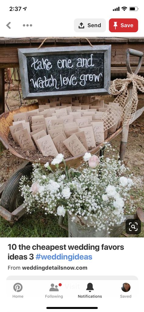 Colorado Wedding Favors, Wedding Favors Cheap, Seed Packets, Blue Bonnets, Colorado Wedding, Simple Tricks, Wedding Favours, Wedding Favors, Wedding Reception