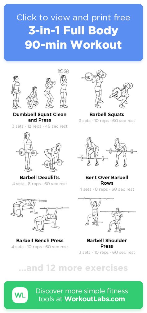 Total Body Barbell Workout, 60 Minute Workout Gym, Full Body Weightlifting Workout, Full Body Fitness Workout, Full Body Workout At Gym With Weights, Full Body Workout Barbell, Weighted Full Body Workout, Full Body Weighted Workout, Gym Workouts Full Body Exercise