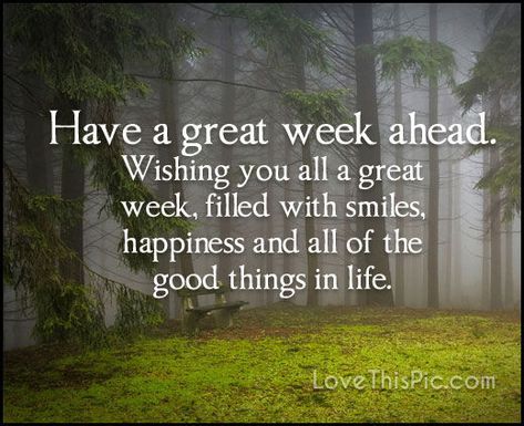 Have A Great Week Ahead monday good morning monday quotes good morning quotes happy monday monday quote happy monday quotes good morning monday motivational monday motivational monday quotes positive monday quotes Great Week Ahead Quotes, Week Ahead Quotes, Monday Quotes Positive, Pray Wait Trust, Happy Monday Quotes, Good Morning Happy Monday, Monday Motivation Quotes, Happy Weekend Quotes, Beautiful Morning Quotes