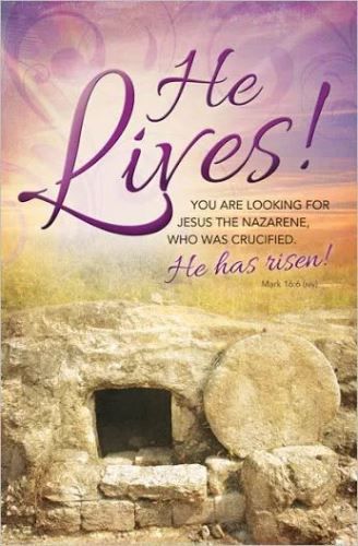 Easter Scripture Quotes, Happy Easter Quotes Jesus Christ, Resurrection Quotes, Happy Resurrection Sunday, Easter Scriptures, Happy Easter Quotes, Easter Prayers, Resurrection Day, Jesus Is Risen