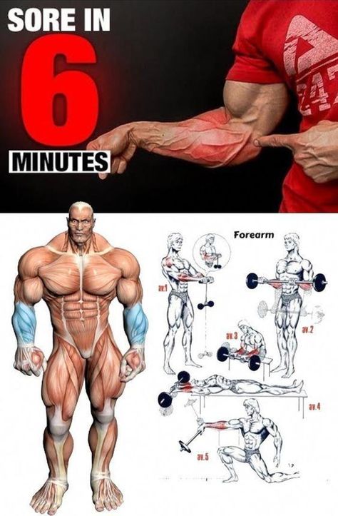 Best Forearm Exercises, Selamat Hari Valentine, Forearm Workout, Shoulder Exercises, Gym Antrenmanları, Arm Exercises, Gym Workouts For Men, Fitness Plan, Exercise Routines