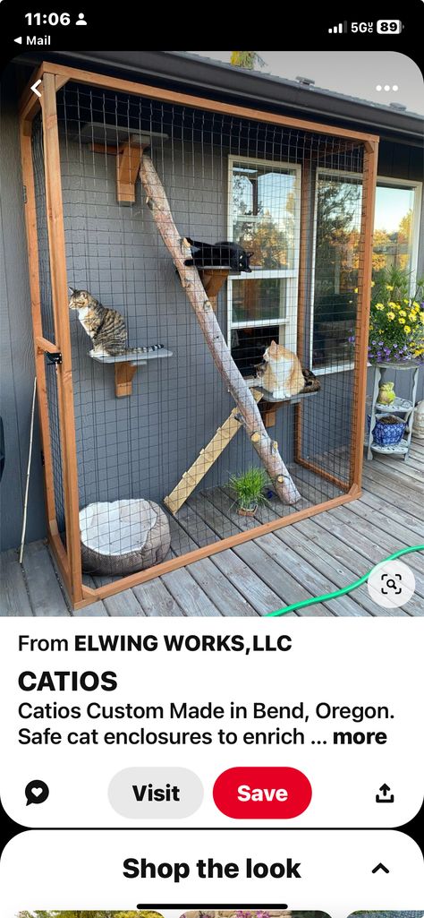 Window Litter Box Ideas, Cat Patio Window, Cat Shed Ideas, Cat Window Enclosure, Catio Plans Design, Catios Ideas For Cats, Window Catio, Cat Balcony, Cat Room Diy