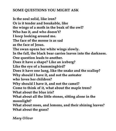 Some Questions You Might Ask ~ Mary Oliver Poetic Questions, Poetic Words, E Words, Writing Therapy, Mary Oliver, Some Questions, Poetry Words, Poem Quotes, Labyrinth