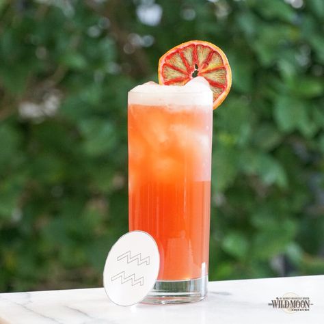 Age of Aquarius | Rose | Wild Moon | Hartford Flavor Grapefruit Bitters, Blood Orange Juice, Wild Moon, Zodiac Birthdays, Age Of Aquarius, San Pellegrino, Adult Drinks, Blood Orange, Orange Juice