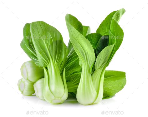 Sawi Hijau, Pak Choy, Types Of Cabbage, Cabbage Seeds, Water Spinach, Pak Choi, Chinese Cabbage, Seed Bank, Pesto Recipe