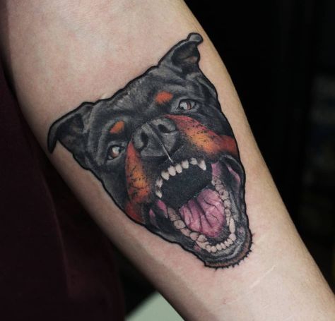 Aggressive Rottweiler image. Rottweiler Tattoo Ideas For Women, Rottweiler Ears Tattoo, Dog Tattoo Ideas Rottweiler, Rottweiler Tattoo Ideas, Outline Rottweiler Tattoo, Rottweiler Tattoo, Service Dogs Breeds, Gorgeous Tattoos, Tattoo Shows