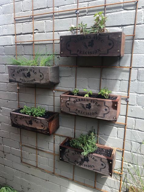 Hydroponic Herbs, Garden Community, Copper Garden, Chilli Plant, Easy Weekend Projects, Herb Boxes, Vertical Garden Indoor, Planter Project, Diy Herb Garden