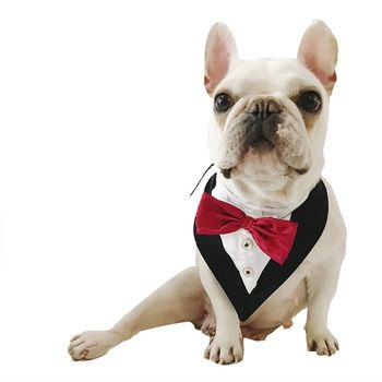 Formal Dog, Dog Wedding Attire, Dog Tuxedo, Dog Suit, Princess Dog, Birthday Photo Props, Pet Dress, Dog Wedding, Dog Wear