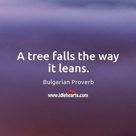 A tree falls the way it leans. - Bulgarian proverb Beauty Is Fleeting Proverbs 31, Indigenous Proverbs, Proverb With Meaning, Famous Proverbs, Proverb 16 : 9, Interesting Quotes, Wishes Quotes, Morning Wishes, Autumn Trees