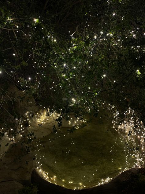 Pond At Night Aesthetic, Dark Pond Aesthetic, 123 Farm, Ashes Aesthetic, Pond At Night, Dark Fairytale Aesthetic, Pond Aesthetic, Noah And The Whale, Aesthetic Lights