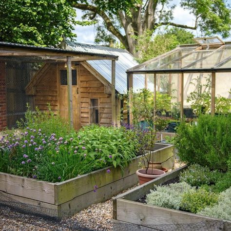 Modern English Country, Low Maintenance Garden Design, Country Garden Design, Vegetable Garden Beds, Kitchen Gardens, Veggie Gardens, Monty Don, Veg Patch, English Country Garden