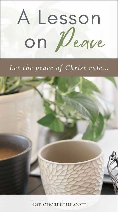 If you feel the need for peace, here's a lesson to encourage you. We have a referee who is meant to bring peace to our life! | #peace #seasons #life #lesson #whileiponder #God #rest Peace Devotional, Christian Singleness, Gods Peace, Peace In God, Faith Stories, Church Fellowship, Peace Scripture, Bible Study Help, Senior Activities