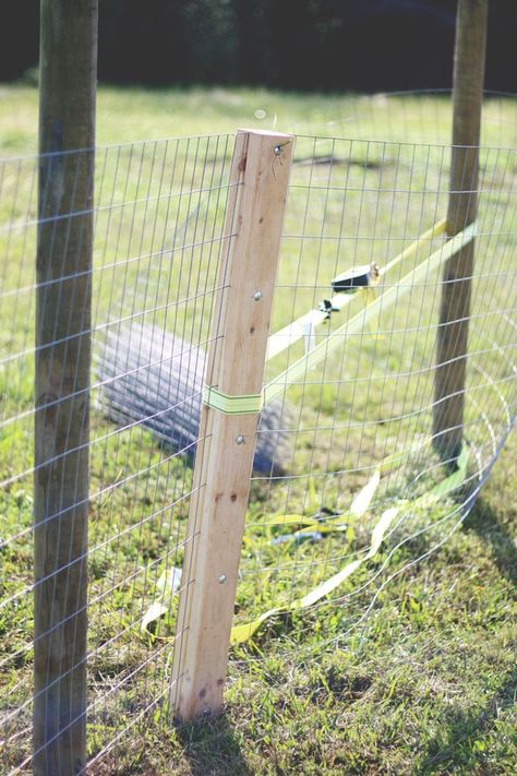 Fence Puller Diy, T Post Fence Ideas, Inexpensive Fencing Ideas, Rustic Fencing, Breeding Goats, Cosmopolitan Cornbread, Livestock Fence, Welded Wire Fence, Diy Backyard Fence