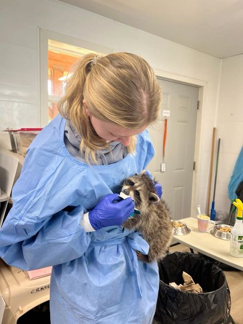 Wildlife Rescue Aesthetic, Animal Behaviorist Aesthetic, Animal Rehabilitation Aesthetic, Wildlife Vet Aesthetic, Wildlife Rehabilitation Career, Exotic Veterinarian Aesthetic, Wildlife Rehabilitation Aesthetic, Vetmed Aesthetic, Wildlife Veterinarian Aesthetic