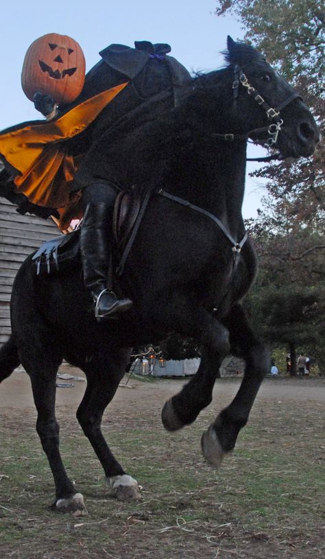 Headless Horseman Costume, Horse Halloween Ideas, Sleepy Hollow Headless Horseman, Headless Horseman Halloween, Horse Halloween Costumes, Halloween Dance, The Legend Of Sleepy Hollow, Legend Of Sleepy Hollow, Cut Animals