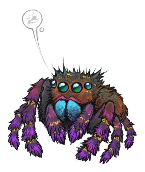 Mythical Creatures List, Spiderverse Oc, Spider Drawing, Pet Spider, Cute Reptiles, Spider Art, Jumping Spider, Cool Monsters, Cartoon Monsters