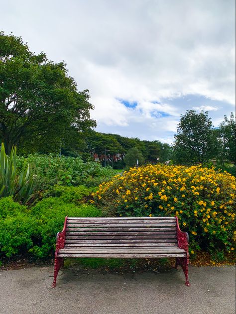 A Bench In The Park, Background Sitting Images For Editing, Park Chair Background For Editing, Sit Down Background, Sitting Background For Editing Hd, Sitting Background For Editing, Park Background For Editing, Seat Background, Bench Background