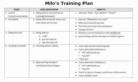 40 Dog Training Plan Template | Hamiltonplastering Session Plan Template, Training Plan Template, Basketball Practice Plans, Residency Medical, Business Letter Format, Puppy Training Schedule, Lesson Plan Template Free, Action Plan Template, Reference Letter Template