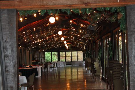 Deerpark Restaurant at Biltmore Retirement Life, Biltmore Estate, Ceiling Lighting, Wedding Ideas, Hiking, Roses, Ceiling, Birds, Ceiling Lights