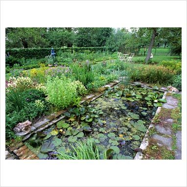 formal library images | GAP Photos - Garden & Plant Picture Library - Small, formal pond - GAP ... Garden Pond Rectangular, Rectangle Pond, Formal Library, Formal Pond, Dragonfly Pond, Retention Pond, Bog Garden, Landscaping Trees, Library Images