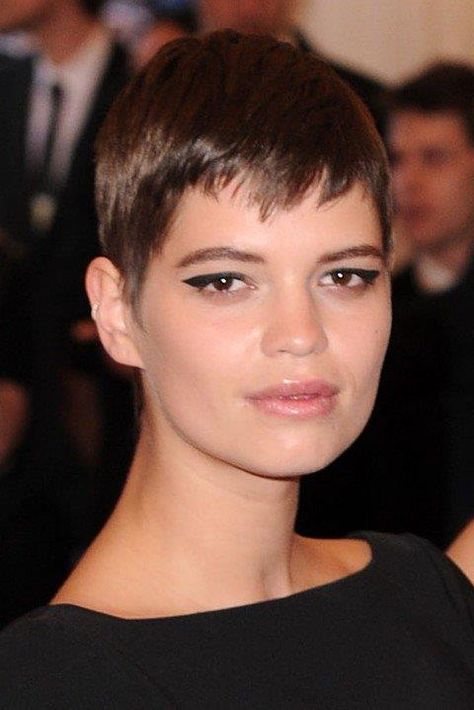 Hair Short Styles, Celebrity Short Haircuts, Pixie Geldof, Easy Short Haircuts, Celebrity Short Hair, Super Hair, Beauty Tips For Hair, French Hair, Hot Hair Styles