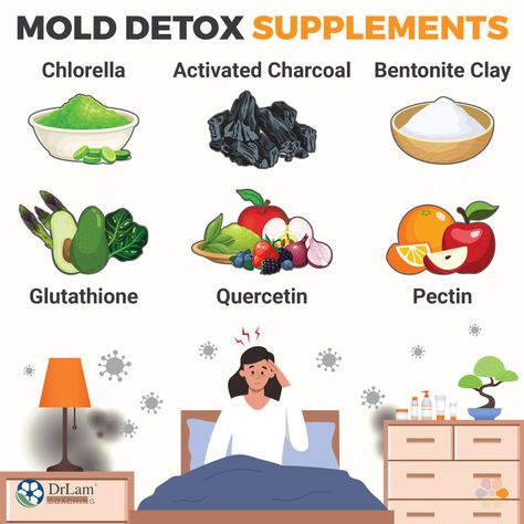 When You Need a Mold Detox and How to Get Started Mold Detoxing, Adrenal Fatigue Recovery, Fever Symptoms, Detox Supplements, Adrenal Support, Adrenal Health, Allergy Symptoms, Food Sensitivities, Adrenal Fatigue