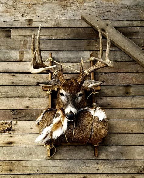 Mossy Oak on Instagram: “With this pack out mount going around, here’s another from our archives! The one on the left is Darren Becwar Taxidermy that’s made its…” Cool Deer Mounts, Skull Mount Ideas, Deer Mount Decor, Deer Mount Ideas, Hunting Home Decor, Deer Hunting Decor, Deer Skull Mount, Deer Head Decor, Deer Heads Mount