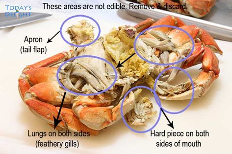 Not all parts of dungeness crab is edible. For recipe and more, visit todaysdelight.com How To Cook Dungeness Crab Legs At Home, How To Cook Whole Dungeness Crab, How To Cook Dungeness Crab, Whole Crab Recipes Dungeness, Dungeness Crab Leg Recipes, Dungeonous Crab Recipe, Whole Crab Recipes, Dungenous Crab, Roast Whole Garlic