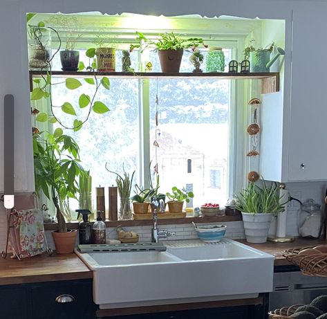 Kitchen Window Side Shelves, Plant Home Design, Plant Shelves Above Window, Plant Theme Kitchen, In Window Plant Shelf, Kitchen Windowsill Plants, Plant Shelf Above Window, Kitchen Window With Plants, Plants Above Kitchen Sink