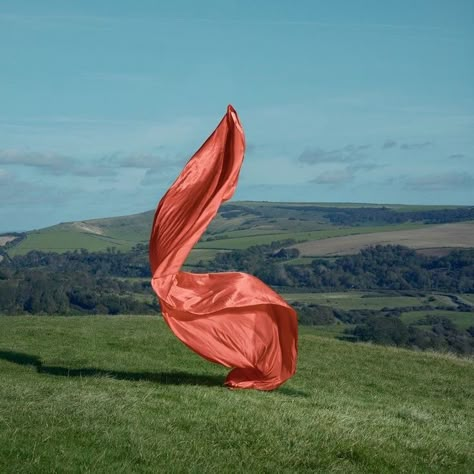 Fabric In The Wind, Drapery Drawing, Dangerously In Love, Geometry In Nature, Set Photo, Phase One, Photography Advertising, Forest Cat, Landscape Fabric