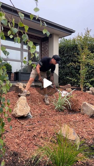 Total Home Handyman on Instagram: "A 5 hour transformation gave this front garden a whole new life 😍   🍃 Coldstream Spall rocks  🍃 Red gum mulch  🍃 Lomandra’s, Cordylines, Maple & grasses   #diy #handyman #homeimprovement #housetransformation #homedesign #outdoordesign #landscape #landscaping #plants #horticulture #gardenproject #garden #gardening" Mulch Xeriscape, Mulch Landscaping Ideas Front Yard, Garden Mulch, Mulch Landscaping, Diy Handyman, Grasses Landscaping, Fake Grass, Australian Garden, Lush Garden