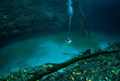 Underwater river at the bottom of the Black Sea | 9 Mysterious Underwater Objects Very Few People Know About | Brain berries Underwater River, Bawah Air, Underwater Caves, Fotografi Bawah Air, Under The Water, Under The Ocean, Air Tawar, Bottom Of The Ocean, Yucatan Mexico