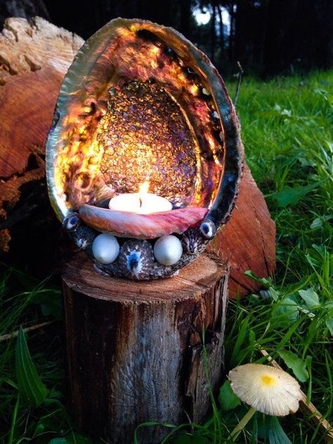 Candles made with abalone shells. Just gave me a 60-70's flashback Paua Shell Craft, Garden Alter, Sea Witchery, Seaside Crafts, Beach Candle Holder, Altar Inspiration, Driftwood Creations, Shell Candle Holder, Spirit House