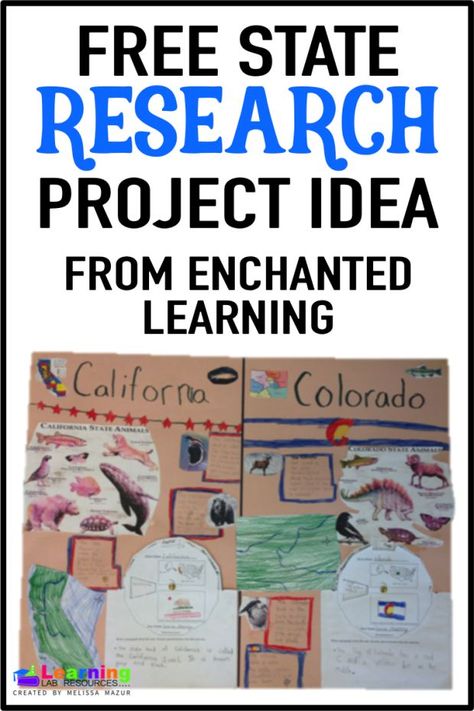 Do you want to do a project that interests your students, but don't have a lot of time to plan? Use these FREE pages from Enchanted Learning to research the 50 states! Third Grade Social Studies Projects, Elementary History, Junior Achievement, Third Grade Social Studies, Last Week Of School, Social Studies Projects, Social Innovation, 5th Grade Social Studies, The 50 States