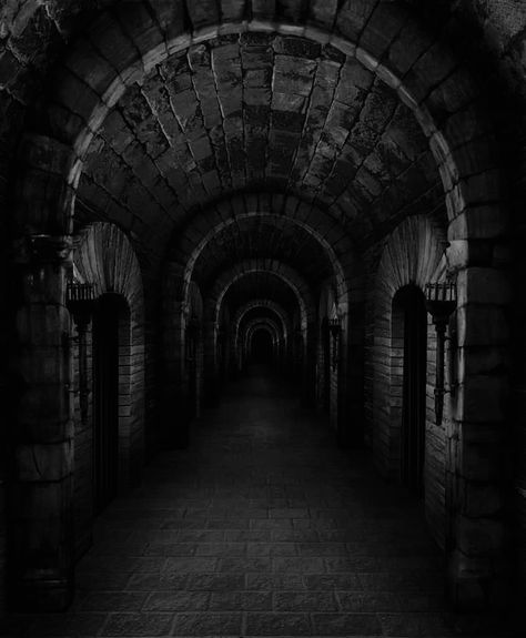 Dark Dungeon Aesthetic, Dungeons Aesthetic, Crypt Aesthetic, Fantasy Crypt, Catacombs Aesthetic, Gothic Dungeon, Dark Dungeon, Dungeon Aesthetic, Evil Lair