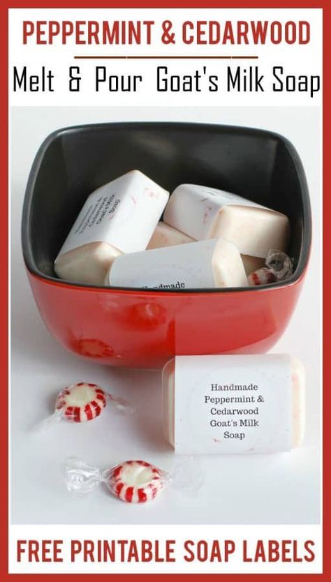 Easy Melt & Pour Soap Recipes: Peppermint & Cedarwood  Goat's Milk Soap! #gifts #diygift #soapmaking #essentialoils #peppermint #cedarwood #goatsmilk #meltandpour Scrubs Recipes, Soap Gifts, Melt And Pour Soap, Diy Kosmetik, Soap Recipe, Soap Labels, Melt And Pour, Homemade Soap Recipes, Homemade Beauty