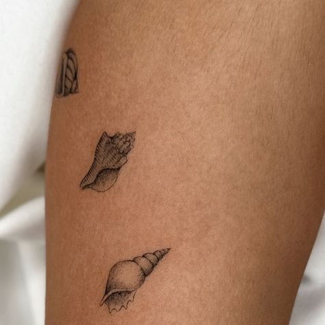 She’ll Tattoo, Cowrie Shell Tattoo, Conch Shell Tattoo, Seashell Tattoo, Shell Tattoo, Starfish Tattoo, Seashell Tattoos, Shell Tattoos, Tattoo Aesthetic