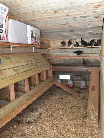 Chicken Coop Interior Ideas - simplythinkshabby Inside Chicken Coop, Chicken Coop Blueprints, Raising Turkeys, Chicken Roost, Cute Chicken Coops, Easy Chicken Coop, Chicken Coop Garden, Chicken Coop Decor, Chicken Shed